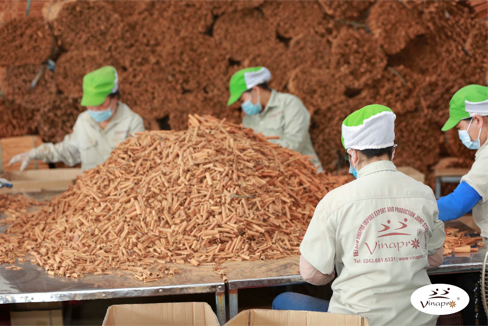 POTENTIALS AND CHALLENGES AHEAD FOR THE CINNAMON INDUSTRY